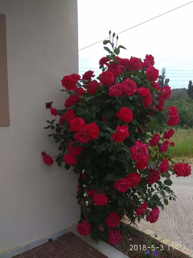 Aparthotel Romeo & Juliet Perivólion Esterno foto